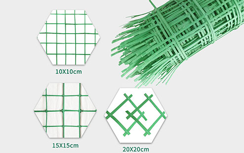 �Gɫ���پW(w��ng)